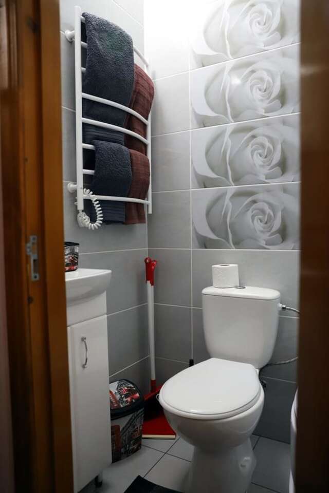 Апартаменты Apartment in Old Town on Zarvanska street Каменец-Подольский-10